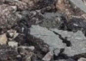 IMG 20260331 WA0177(1)